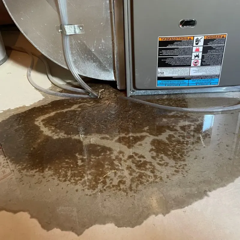 Pipe Burst and Leak Restoration in Ridgewood, NY